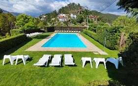 Verde Pinho